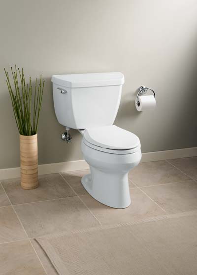 Sterling's Karsten Dual-Flush toilet. $250-$320 depending on color.